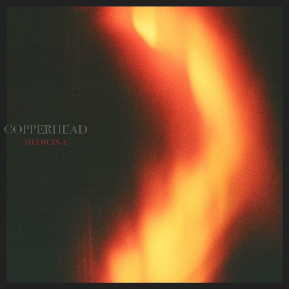 What a journey making this record was. Would not do again. 
Copperhead - "Medicina" streaming NOW!