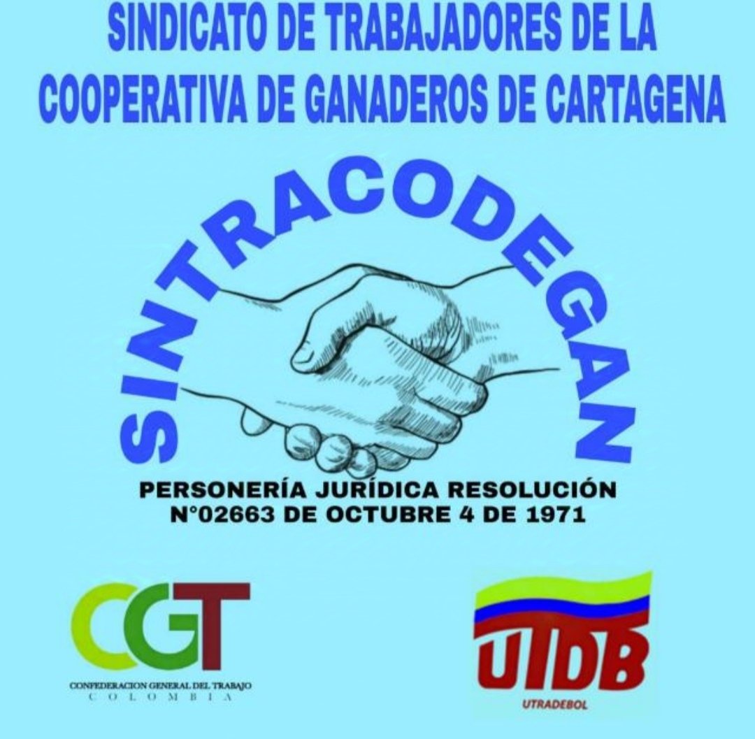SINTRACODEGAN tweet media