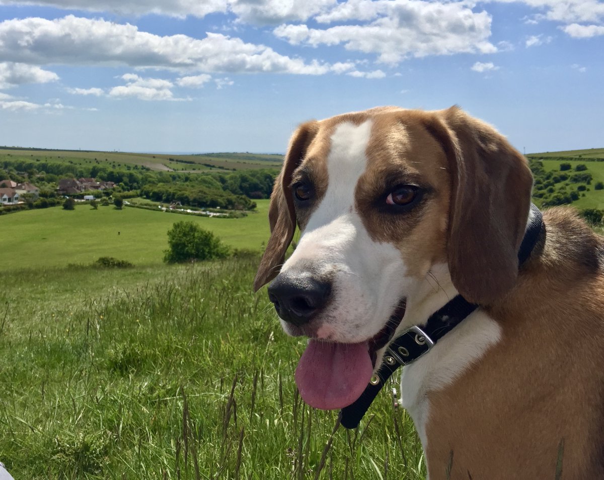 Spencer Pitts tweet media