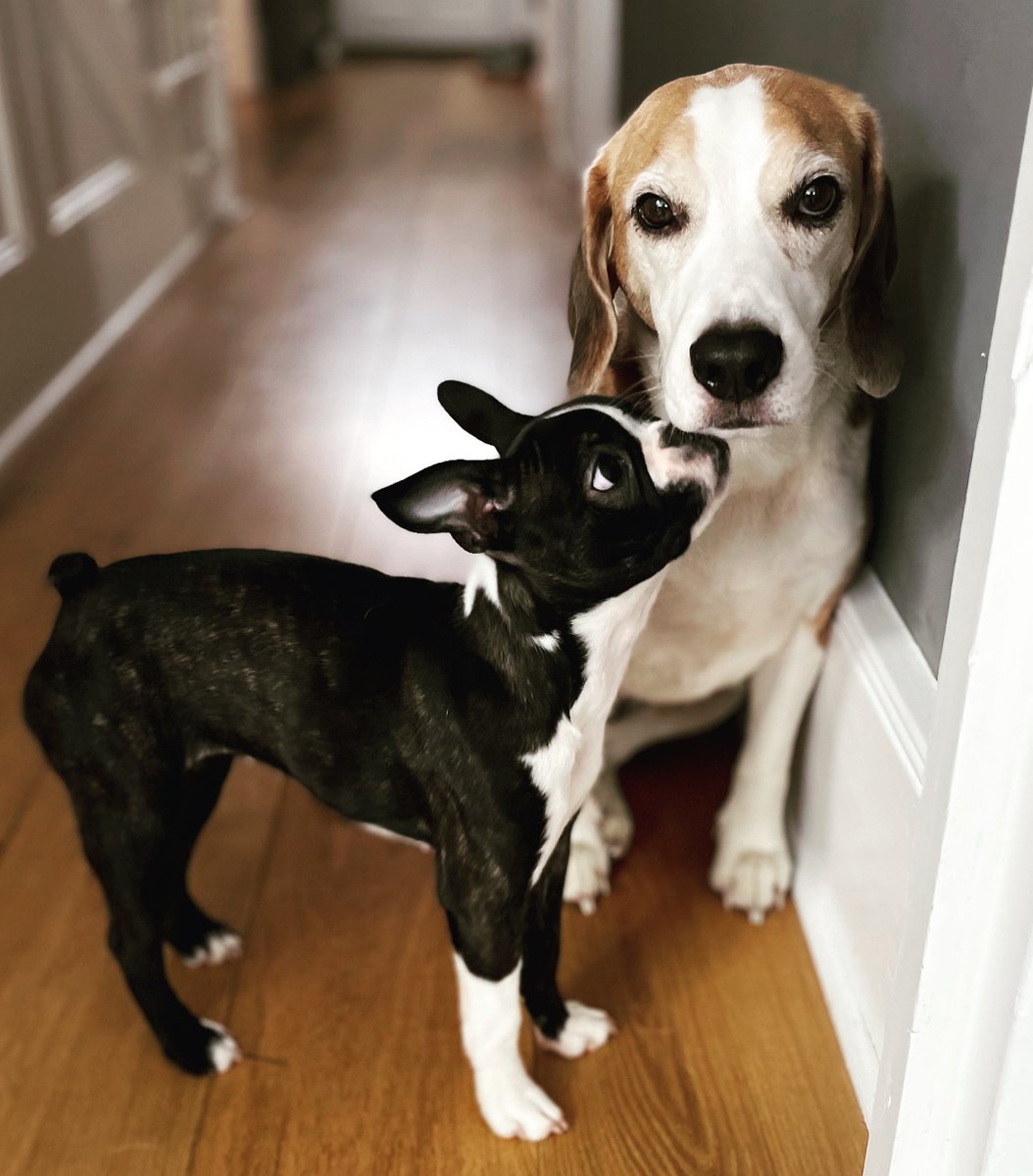 Spencer Pitts tweet media