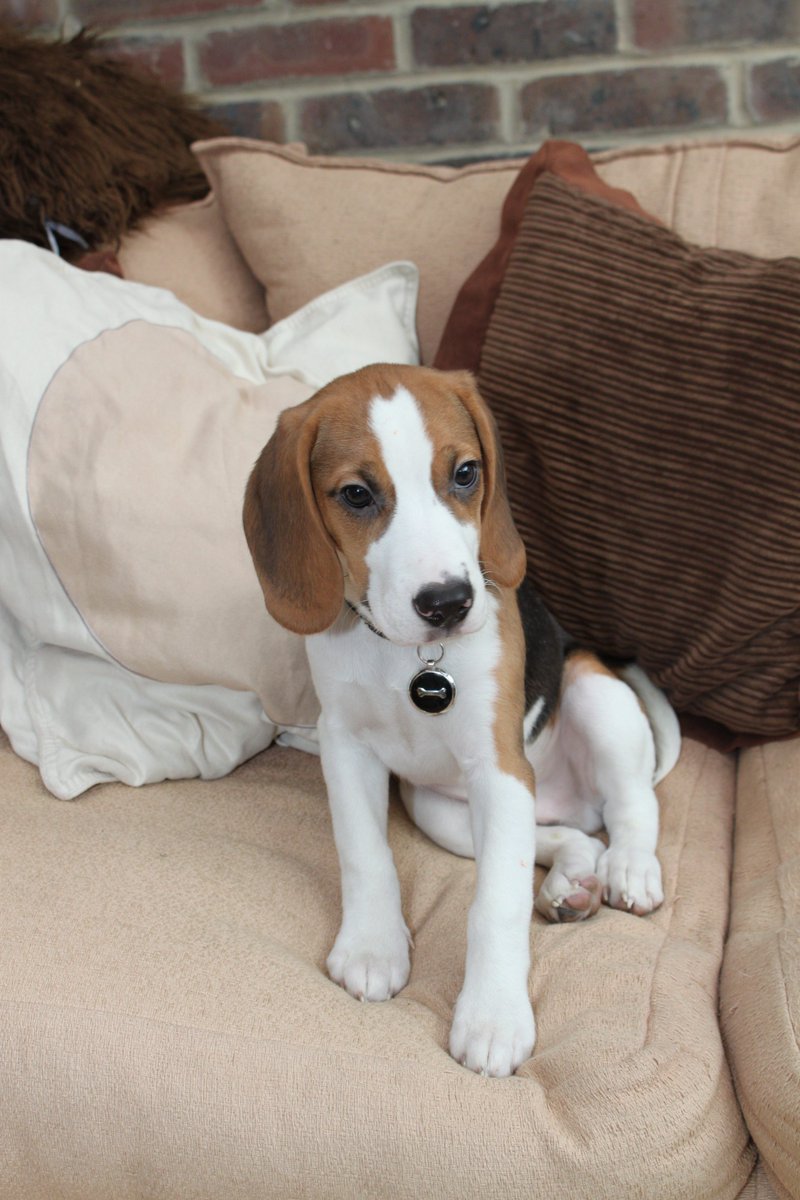 Spencer Pitts tweet media