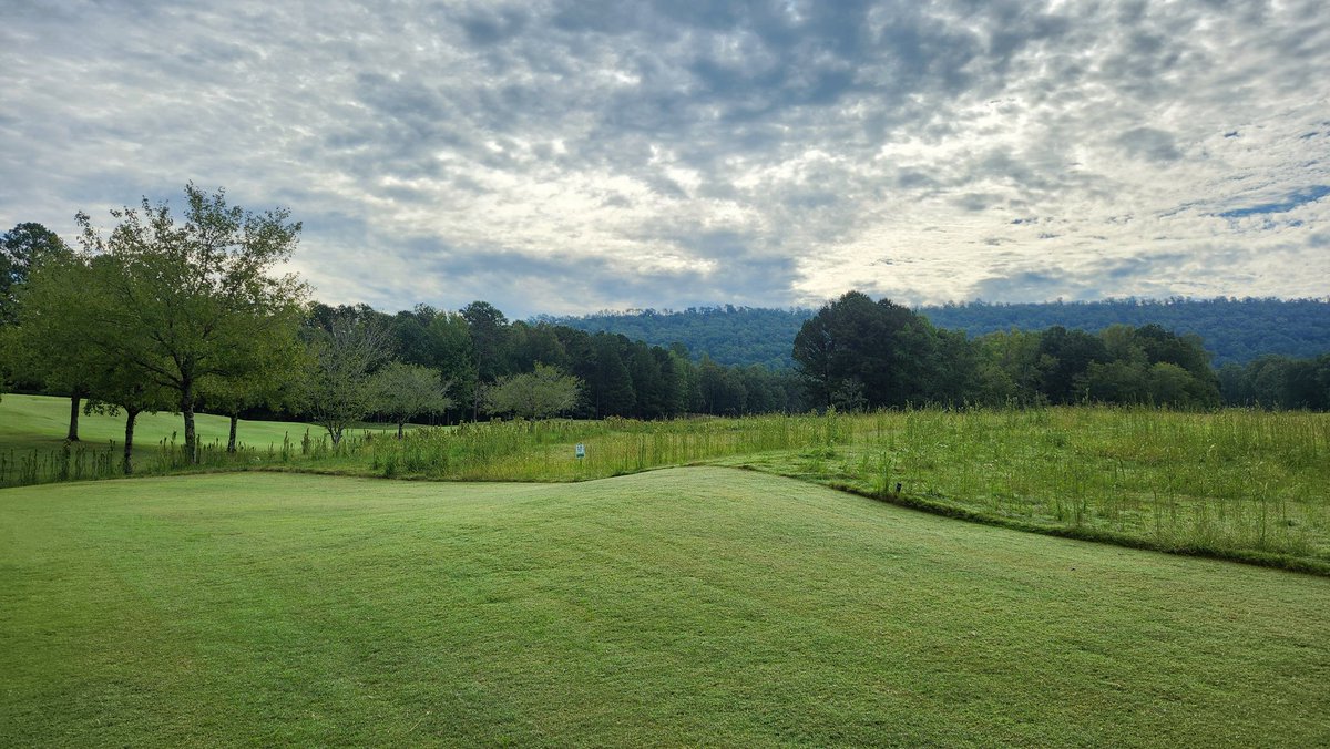 standardkev's tweet image. The zoysia is glowing, and the weed patches are looking great at #TheLegacyCourse 
Historically, it should cool off for a bit before it's summertime again.