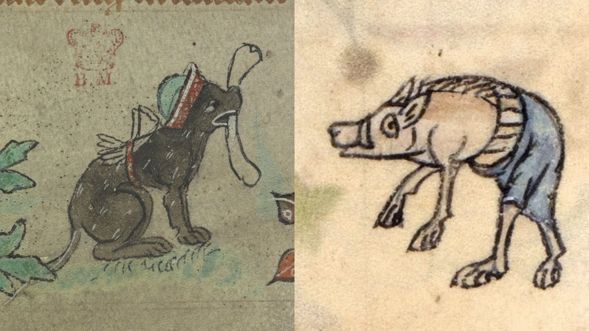 After a well-earned bye week, <a href="/UTSmokey_00/">Smokey</a> and <a href="/Vol_Football/">Tennessee Football</a> head west for this week's #MedievalMascotMatchup against <a href="/RazorbackFB/">Arkansas Razorback Football</a> and their 30-50 hog mascots, including Big Red, Sue E, Pork Chop, and Boss Hog!