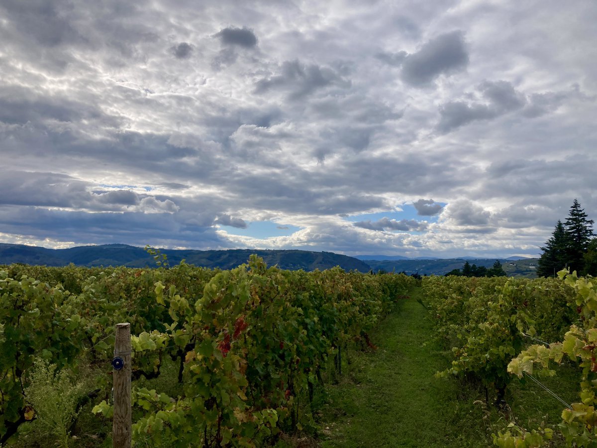 Première des 6 sessions d’agrément cyclisme pour une cinquantaine de parents afin d’accompagner les classes dans leurs projets <a href="/ValenceRomans/">Valence Romans Agglo</a>, <a href="/ARCHEAgglo/">ARCHE Agglo</a> ou <a href="/usepnationale/">USEP nationale</a>. 👏🏼 
Secteur Mercurol - Tain l’Hermitage 🍇
En route vers le Savoir Rouler À Vélo ! 🚴🏼🚴🏼‍♀️🚴🏾‍♂️
<a href="/GenerationVelo/">Génération Vélo</a>