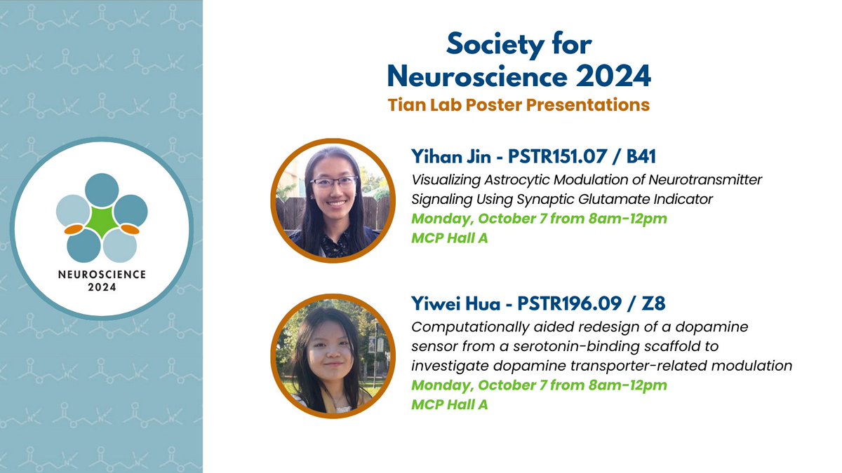 LinTianPhD's tweet photo. Although I can't be in Chicago for all the #sfn2024 fun, I am proud to have the Tian lab represented by our incredible PhD students, Yiwei and @jin_jinyihanmg!

Be sure to stop by their poster presentations on Monday morning to see what we've been working on 👩‍🔬🔬 https://t.co/pFKZ5d2yCP