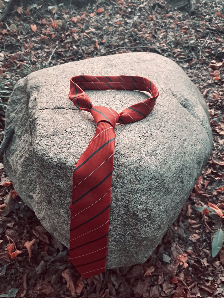 LoveFaydeeMusic's tweet photo. Feliz día de RBD 👔❤️ #DiaMundialDeRBD #RBD https://t.co/6zN1MkM5yW