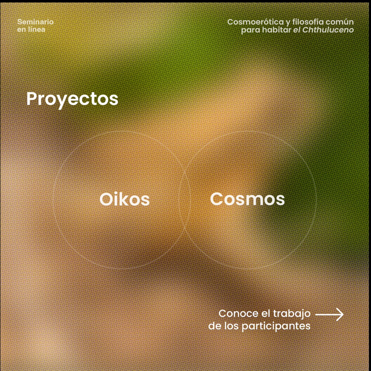 arte UNAM tweet media