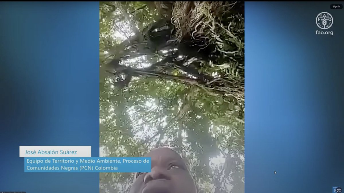 FAO_AgriFam's tweet image. José Absalón Suárez, Equipo de Territorio y Medio Ambiente @renacientes
“En las Américas y el Caribe los y las afrodescendientes tenemos una presencia territorial sobre cerca de 205 millones de hectáreas. En materia territorial, los afrodescendientes somos significantes para…