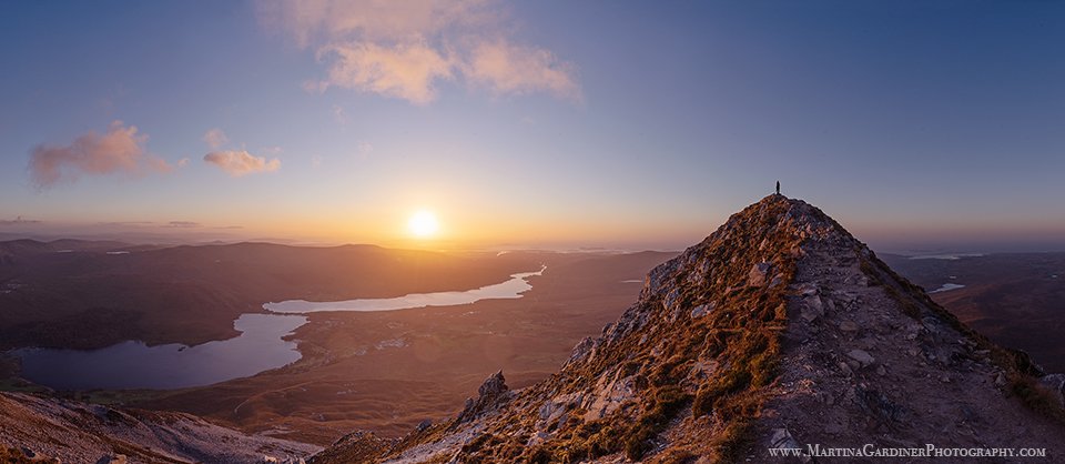 Martina Gardiner tweet media