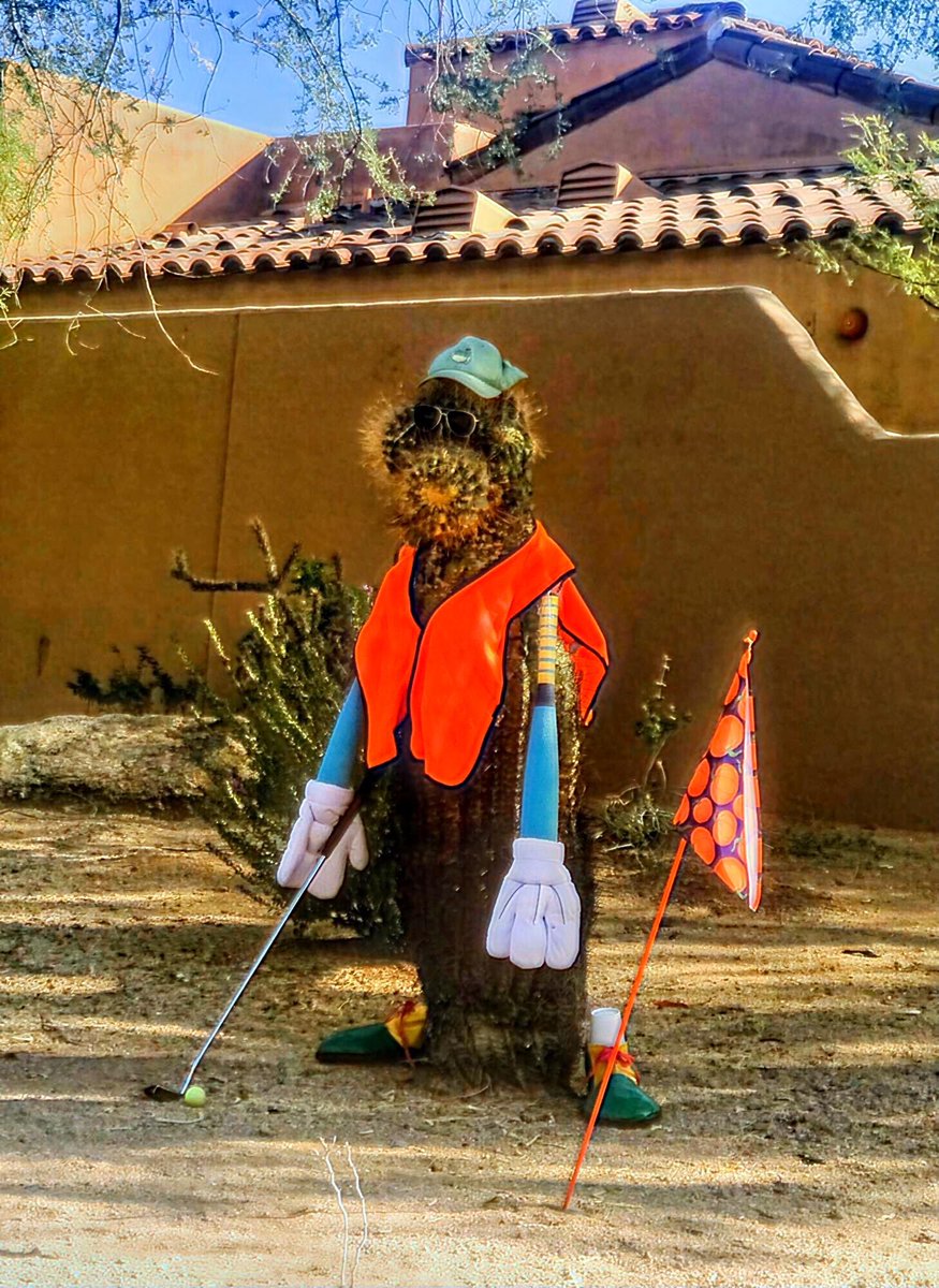 ecomoptimizer's tweet image. caption this!