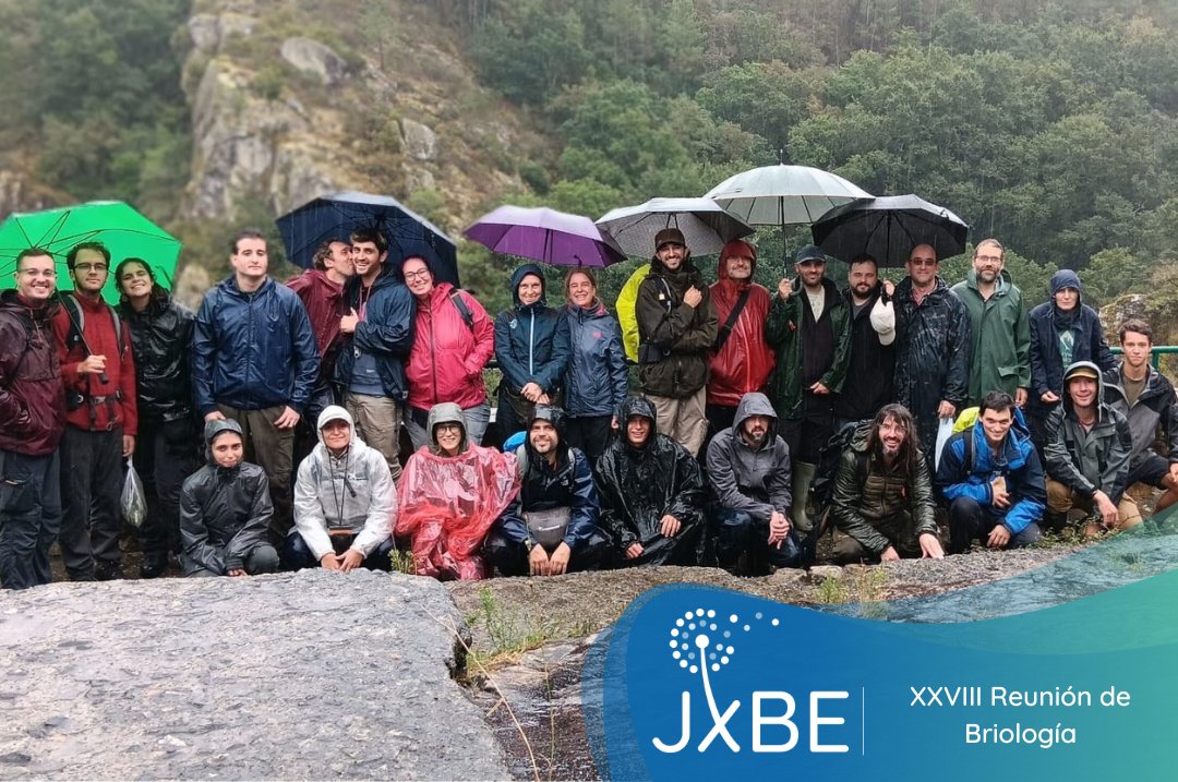 Jóvenes por la Botánica Española - JxBE tweet media