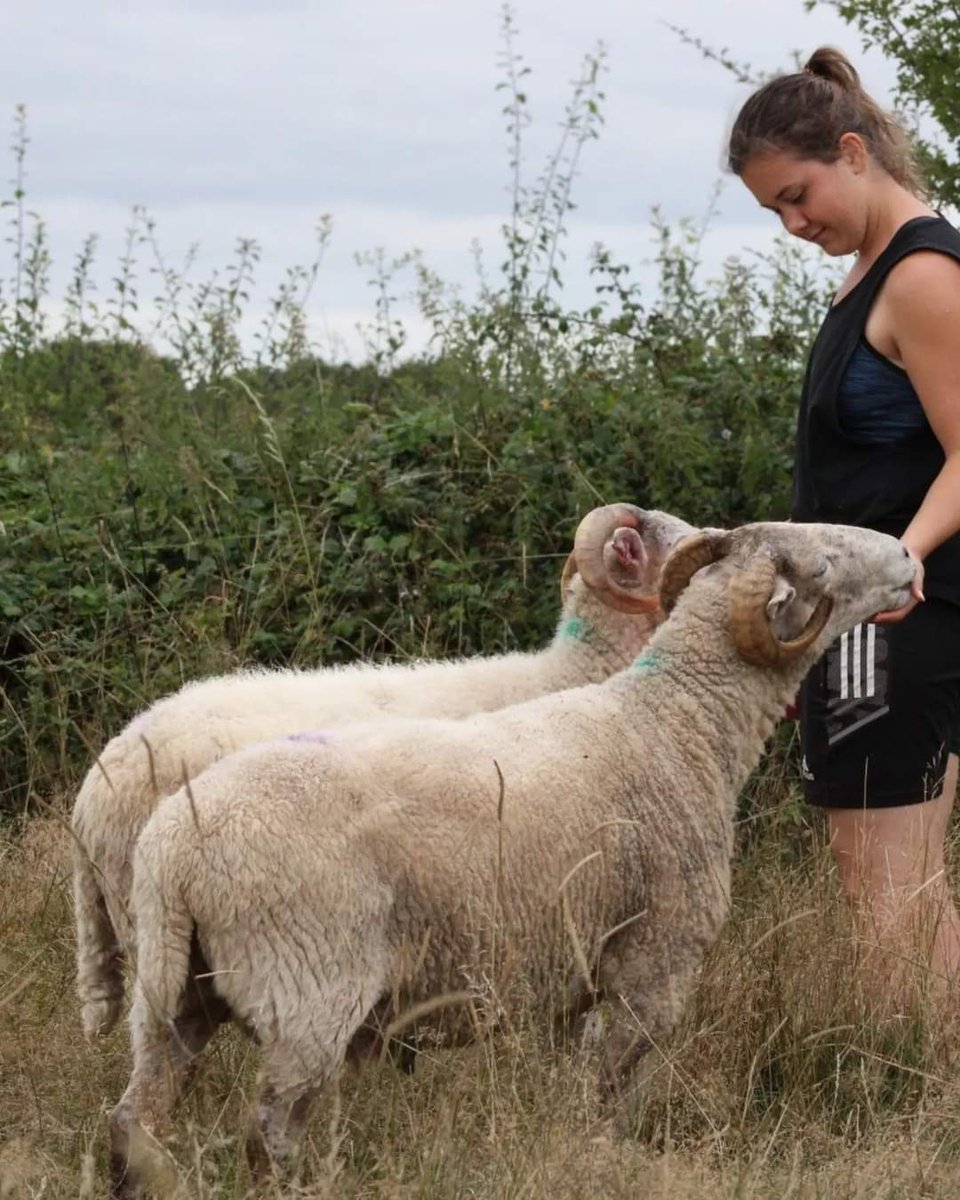 fars_sanctuary's tweet photo. π #FARSQuoteOfTheWeek π
"The least I can do is speak out for those who cannot speak for themselves" Jane Goodall π₯°
Without exception, every single member of #TeamFARS lives & breathes the protection of animals. However & whenever we can, we raise our voices on their behalf π± https://t.co/U7aNy37qvw