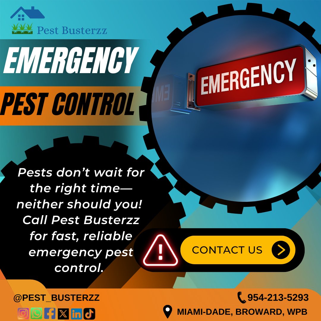 pest_busterzz's tweet image. 🚨 Got a pest emergency? Pest Busterzz is ready to act fast and protect your home or business! 🏡Call us anytime for quick, expert pest control. 🐜💨#EmergencyPestControl #PestBusterzz #pestcontrolworld #ants #southflorida pestbusterzz.com