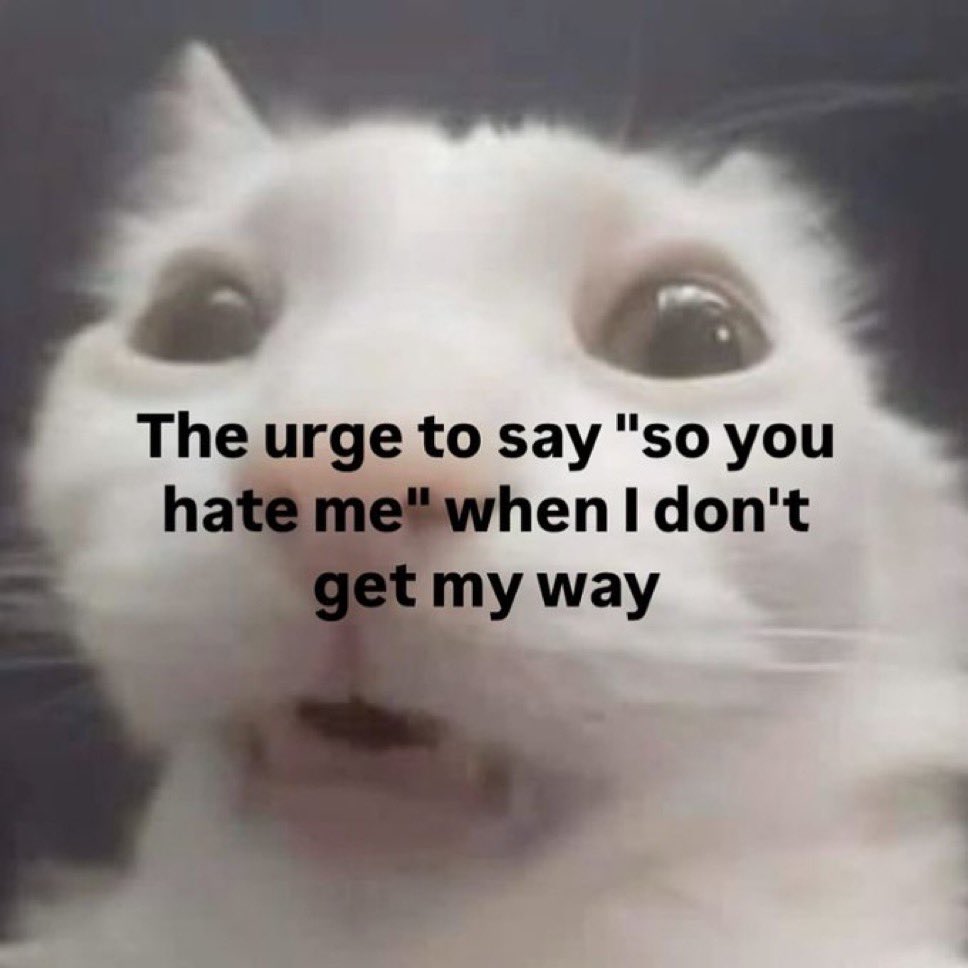 literallymecats's tweet image. 