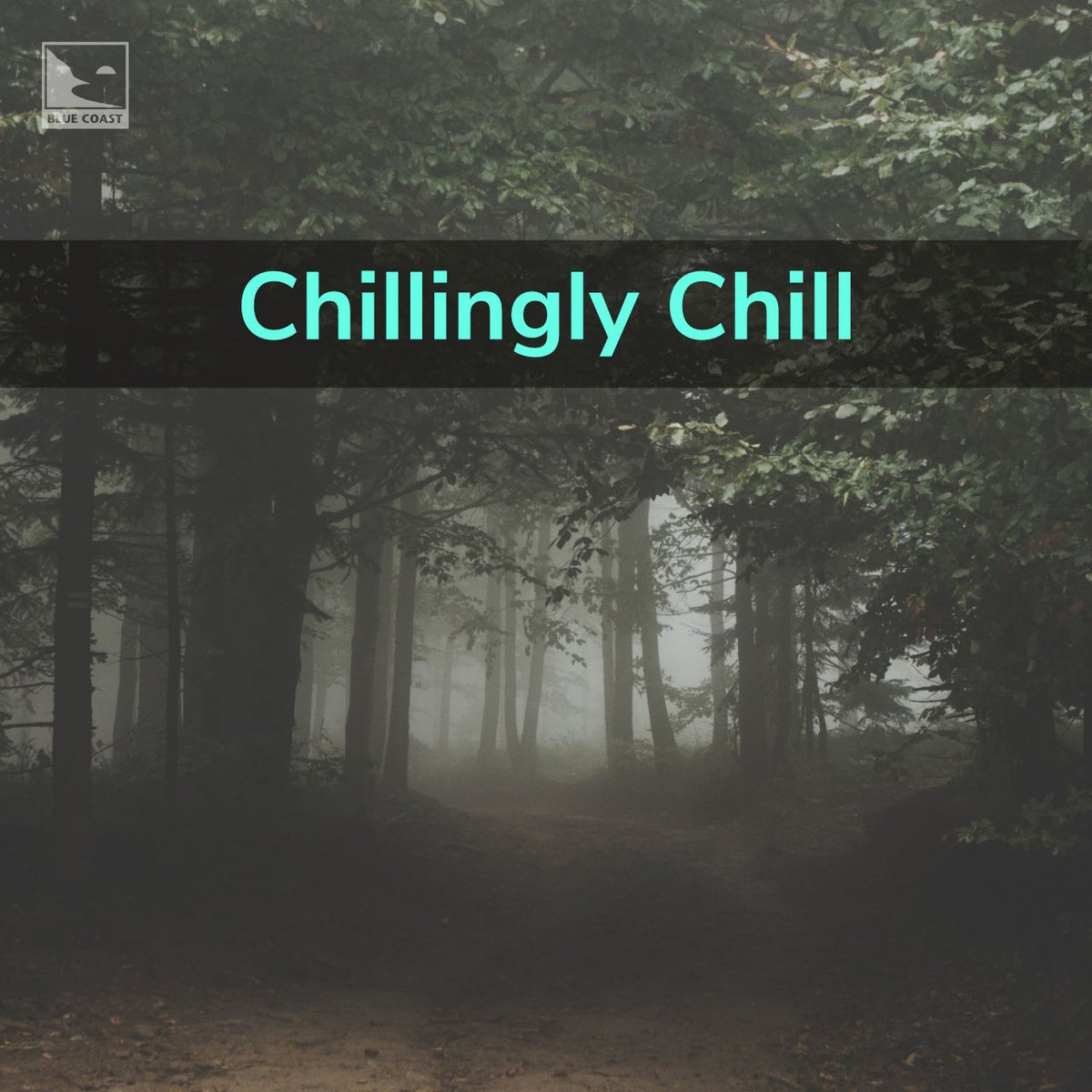 Needing a playlist to start your #SpookySeason listening? We've got an hour and a half of music that puts the “chill” in “chilling” to start your October playlists: bluecoastrecords.com/playlist/chill…