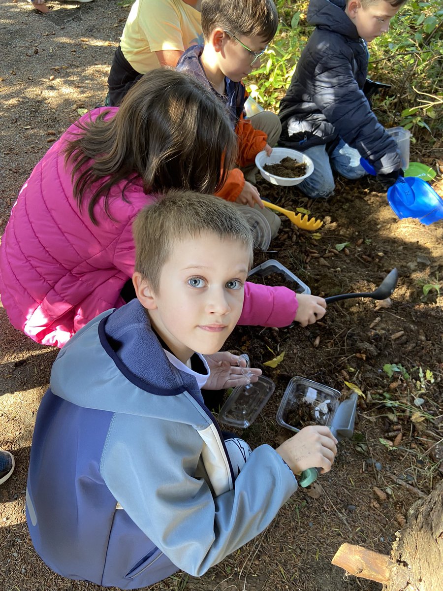 Ms. Renée Nolan tweet media