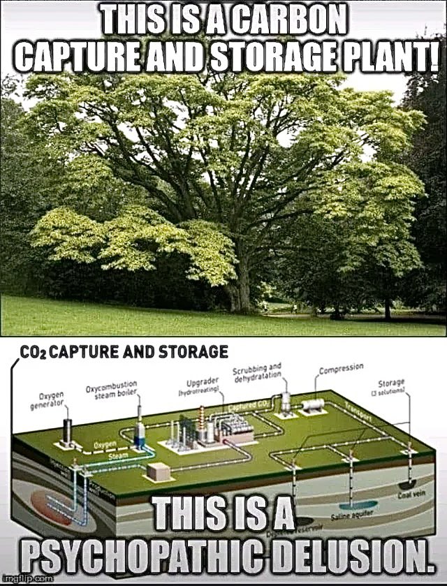 JamesMelville's tweet photo. Keir Starmer and Ed Miliband have announced that they are going to spaff away £22bn of taxpayers’ money on carbon capture and storage technology corporations. The clowns are running the circus. 
Nature is the most cost effective and reliable form of carbon capture &amp; storage. 🌳 https://t.co/ZInm10M2vq