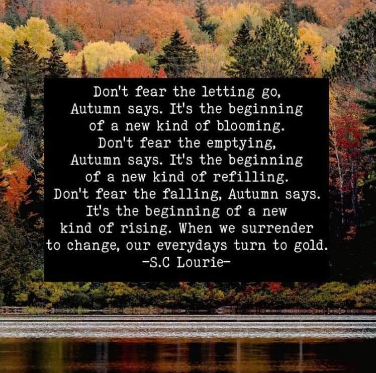 Sam_is_as_Sam_is tweet media