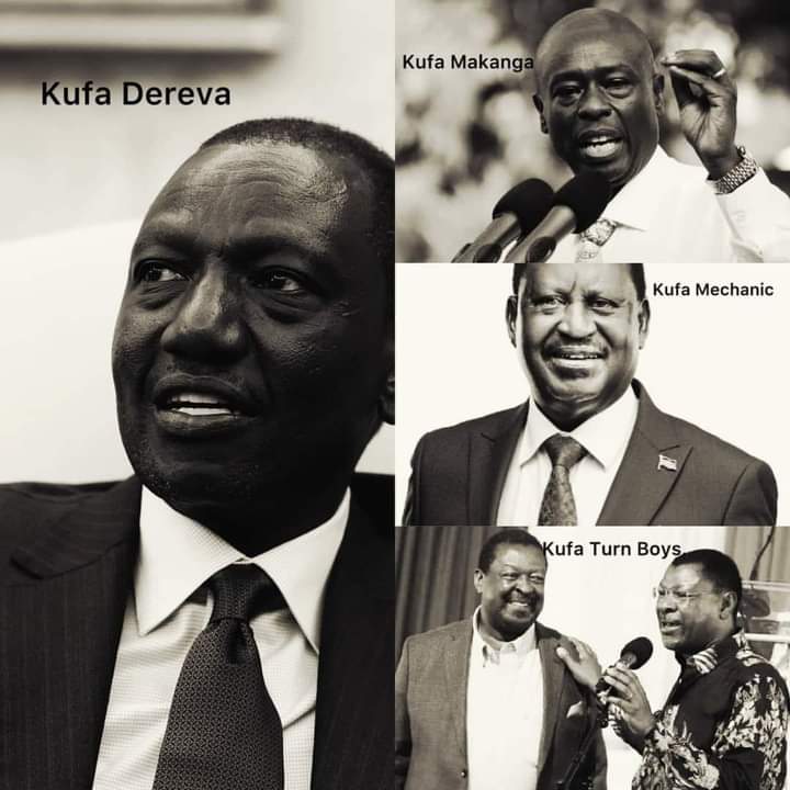 PrincessAylee's tweet image. Just as @amerix always say we need to drain the Swamp. 
#RutoMustGo 
#ImpeachBothThieves