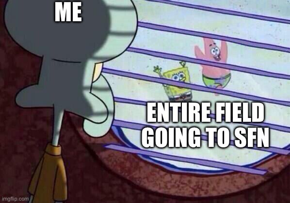browsing the timeline today