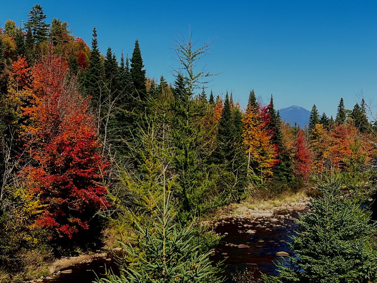 WeatherManFinn's tweet photo. Few more shots from an amazing 5 days in the #Adirondacks. Wishing we were there through the weekend. Foliage is definitely peak! You should head north this weekend while the weather is still good! #adk #pureadk #ilovenny #hiking #518wx #lakeplacid #foliage #fall #nylovesfall https://t.co/6EnQBgsTsD