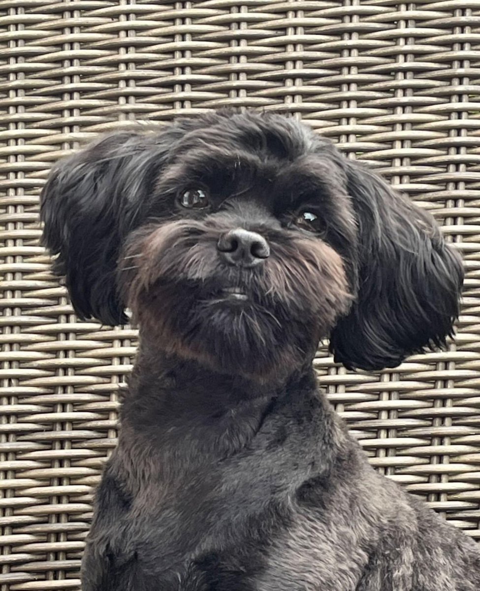 Prof. Gasselich 🇩🇪 tweet media