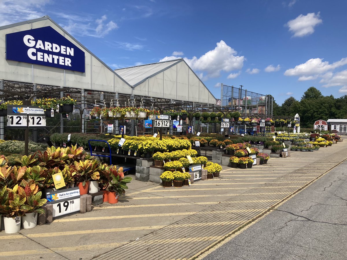 Sierra Behring | MGH tweet media