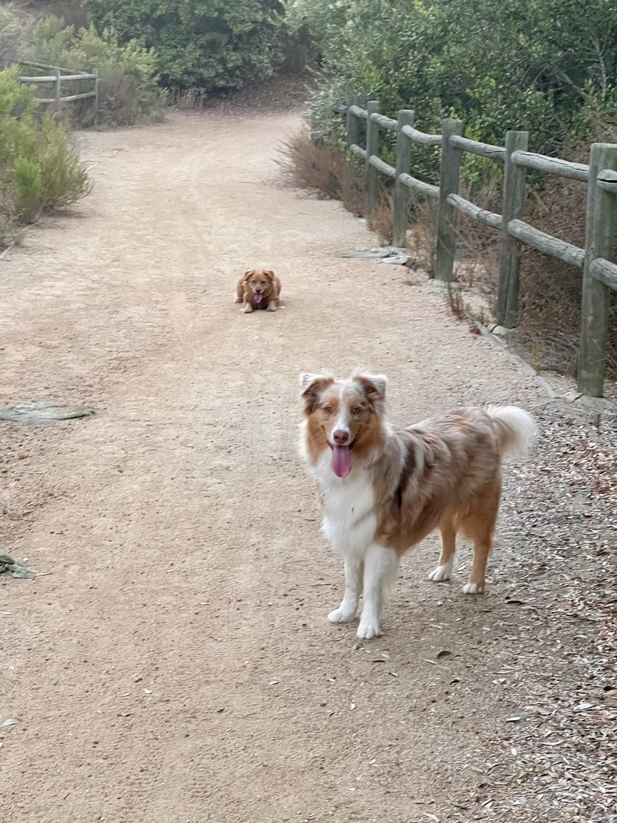 Ready to pounce on the weekend like…