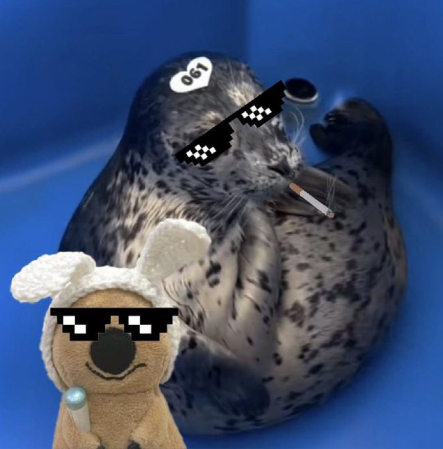 <a href="/CryptoStorm__/">Storm🌪</a> Biscuits and Coby coded