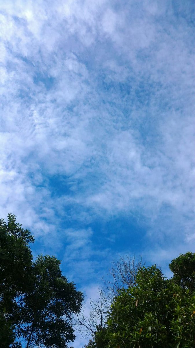 Zeyna_b1n tweet media