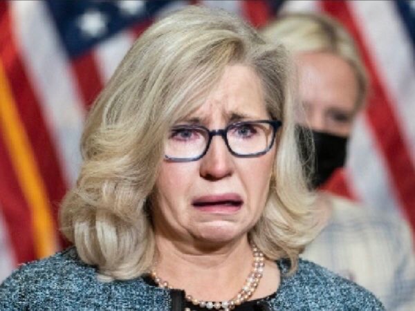 Raise your hand if you think <a href="/Liz_Cheney/">Liz Cheney</a> is a filthy, warmongering POS PIG. 🙋‍♂️
