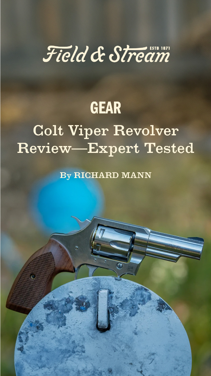 FieldandStream's tweet image. Colt's new Viper makes for a great trail gun for any outdoorsperson. Check out our shooting expert's full review.

fieldandstream.com/guns/colt-vipe… 💥

#TheLegendLives #GunReview #OutdoorGear