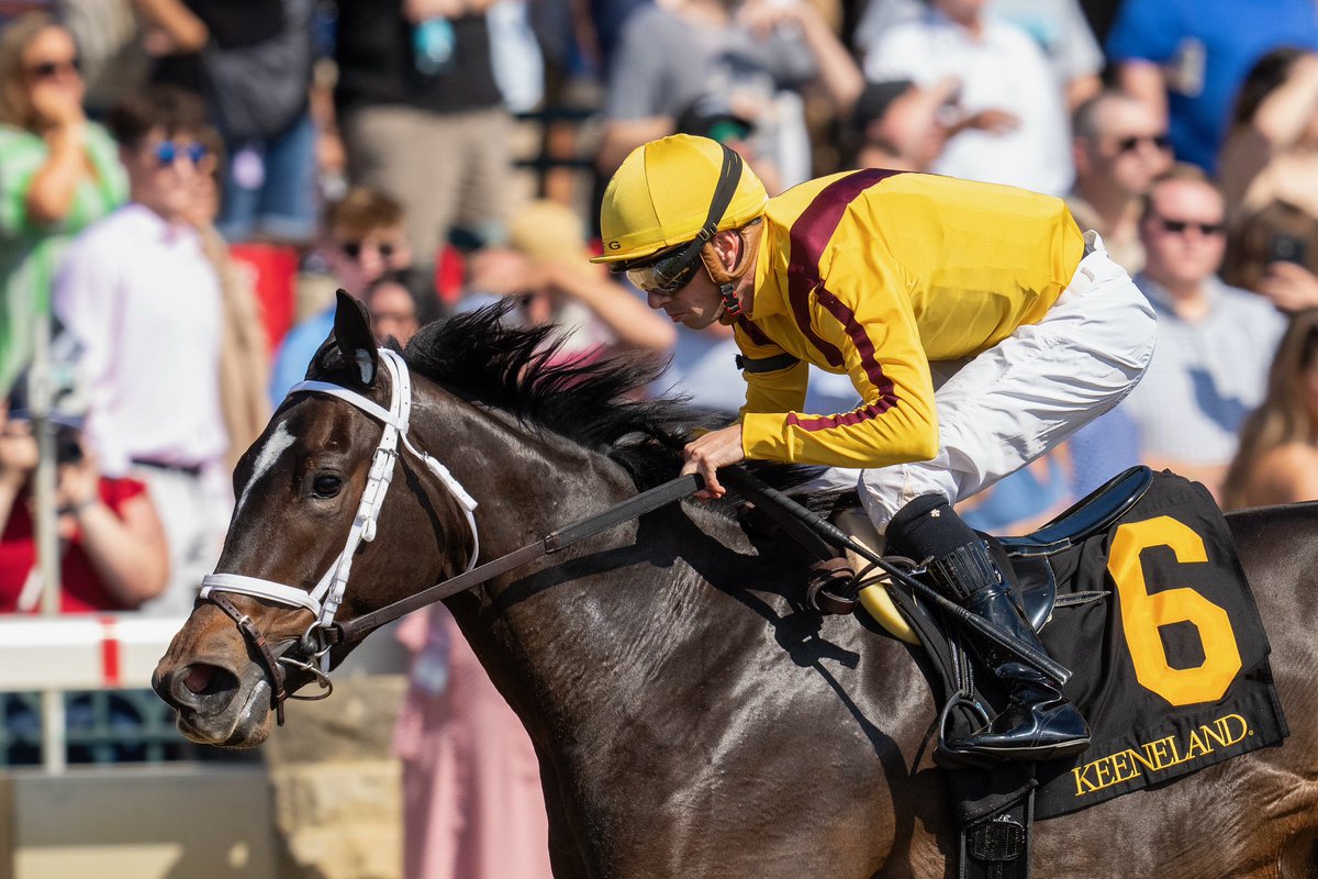 StonestreetFarm's tweet image. Congratulations to #homebred ECLATANT on her win today at Keeneland 🎉 @bradcoxracing