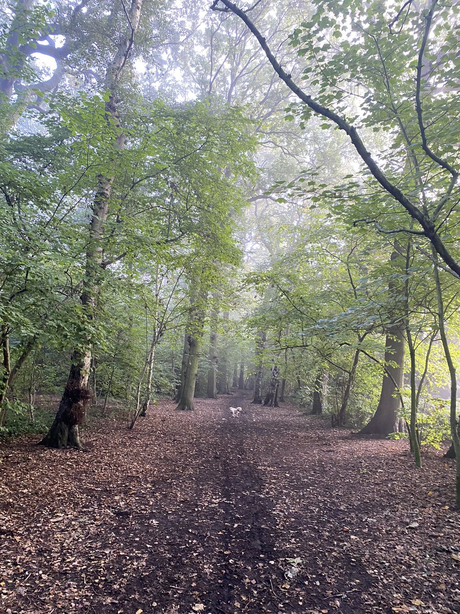 Frances Healey tweet media