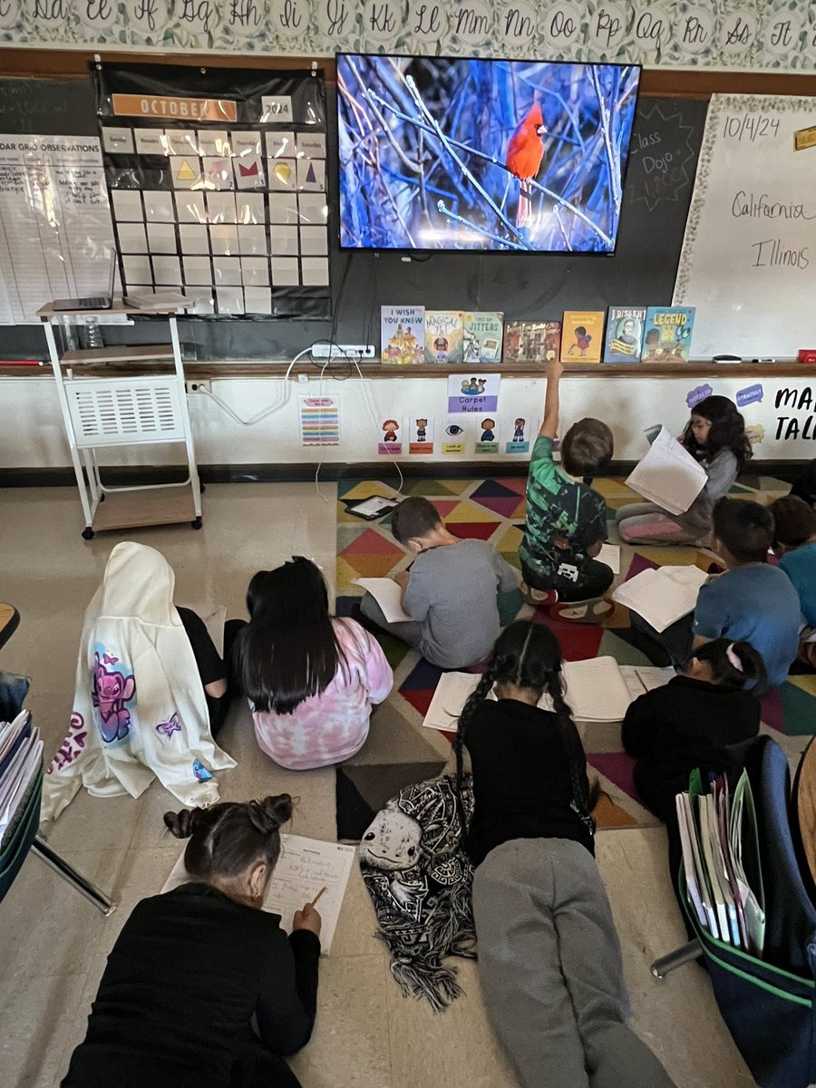 MsPierson3's tweet photo. Some bird watchers making observations 👓🦜 Having lots of fun with our animal classification unit!! #hiawathapride #d100inspires https://t.co/Hkqsg6vWLr