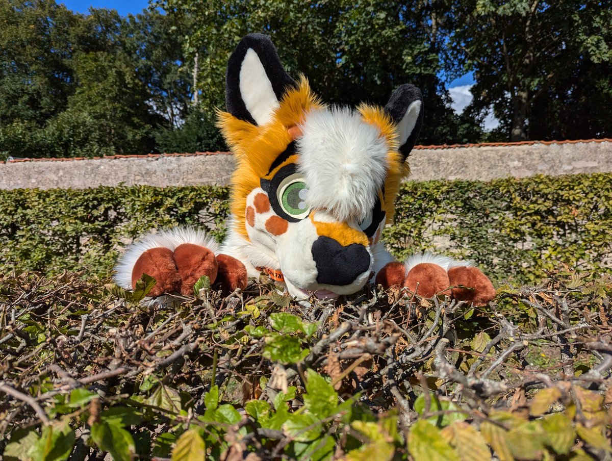 Peek-a-boo! What's behind that brush? It's a wild deeeeeer!! 🦌 #FursuitFriday 

📷: <a href="/PcEnte/">PC-Ente (🖤🐘🤍💜)</a>