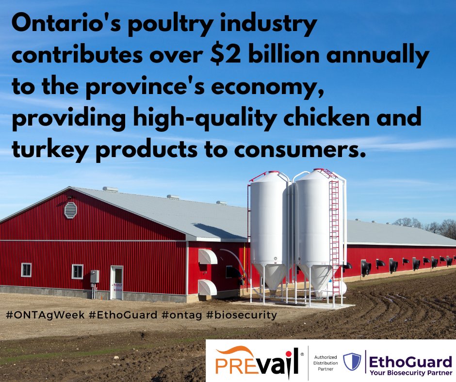 ethoguard's tweet image. #ONTAgWeek.  EthoGuard is proud to support Ontario&apos;s poultry industry with effective Biosecurity solutions. #LoveONFood #biosecuritymatters #prevail #viroxtechnologies