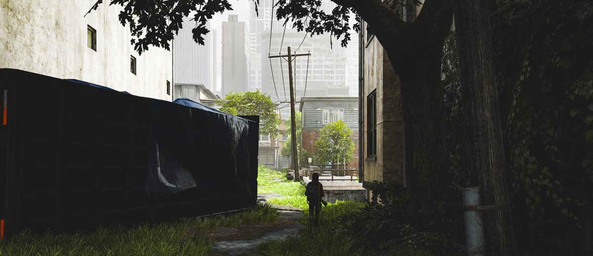 Mohammed tweet media