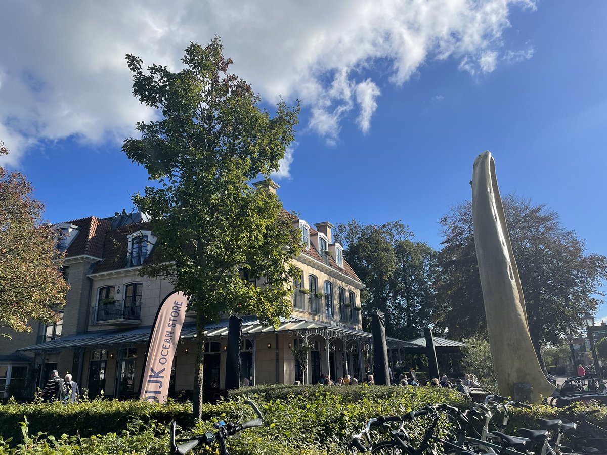 Tjeerd van der Zwan tweet media