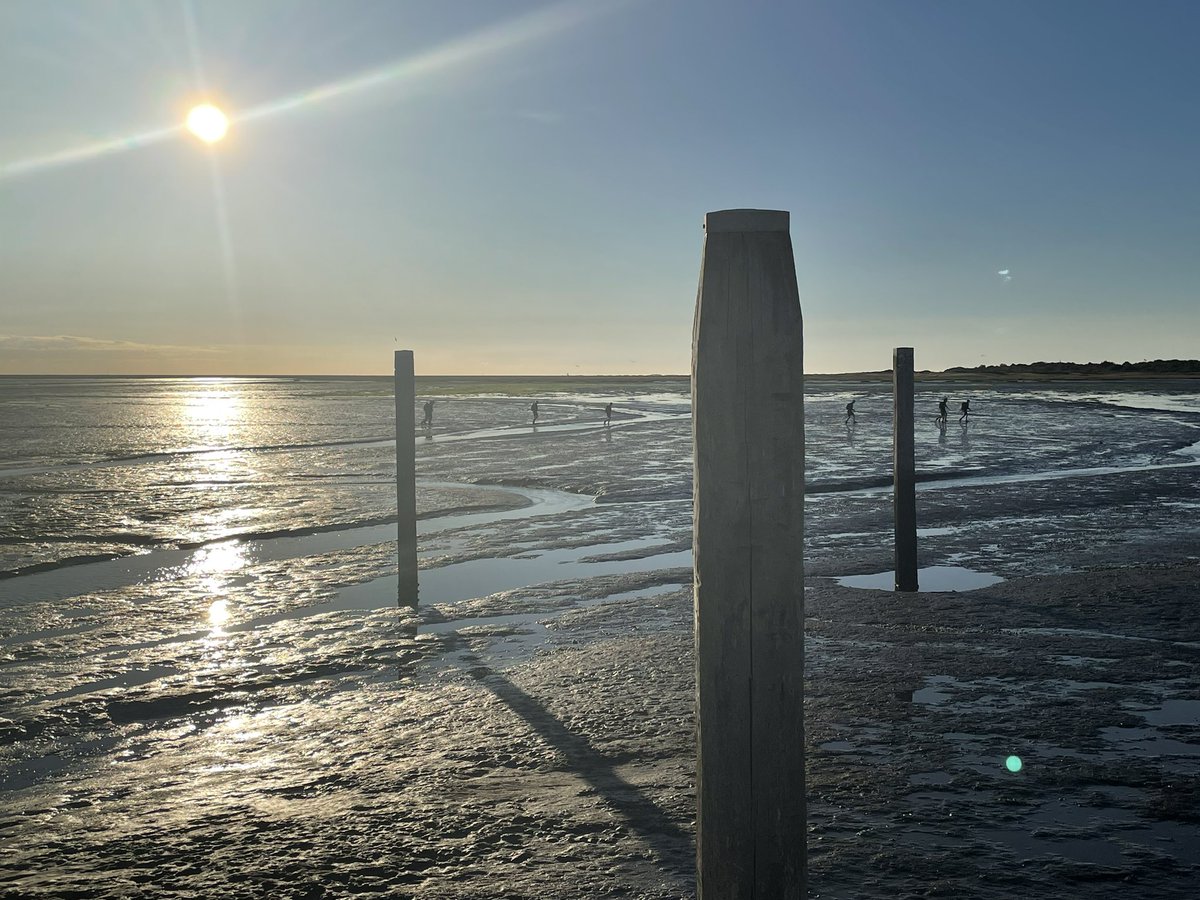 Tjeerd van der Zwan tweet media