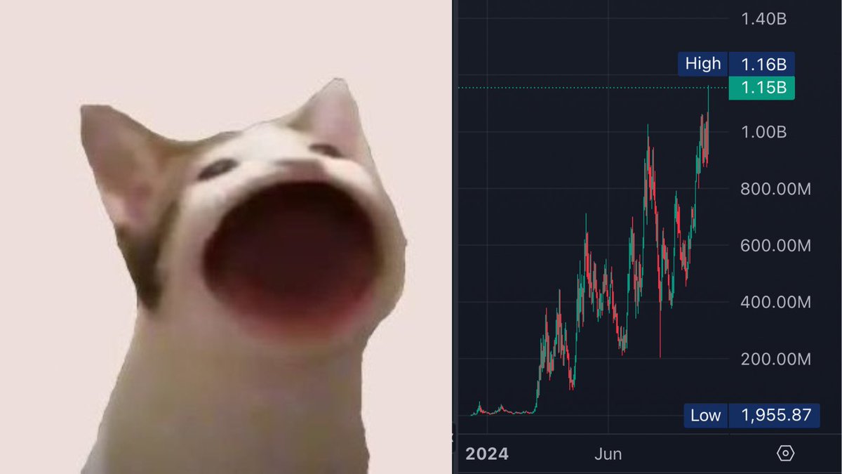 DegenerateNews's tweet image. NEW: SOLANA MEMECOIN $POPCAT (@POPCATSOLANA) HITS NEW ATH