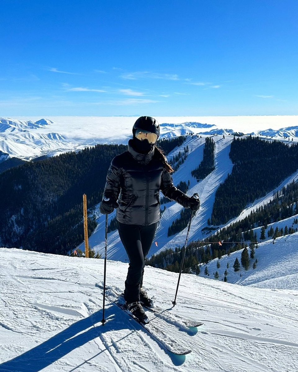 SchieferChopshop tweet media