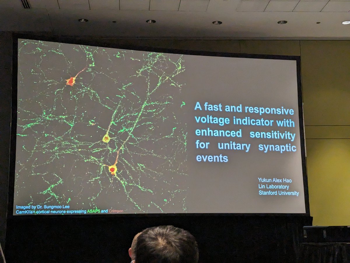 MCCStweets's tweet image. Game-changing voltage sensing tools, developed by Yukon Hao in @MichaelLinLab lab at @Stanford
#MCCS24