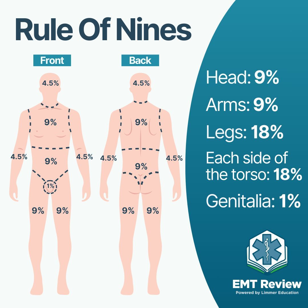 EMT Review tweet media