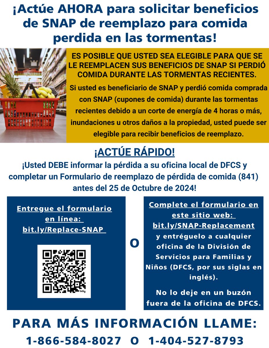 Georgia Legal Services Program tweet media