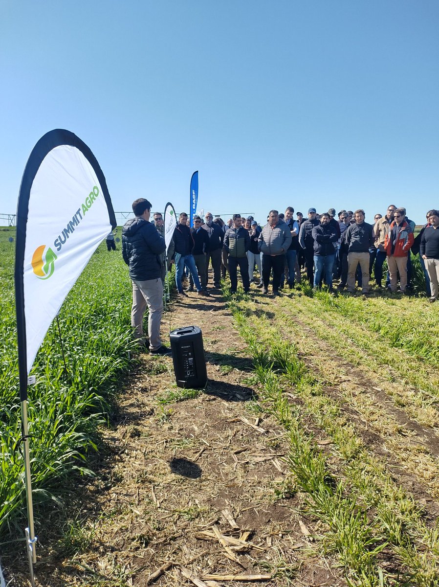 OesterheldT's tweet photo. Gran jornada ayer de la regional Coronel Suárez de @aapresid 
Jóvenes que entienden que el compartir es base de una construcción compartida de mejora continua, hacia la sustentabilidad de los sistemas productivos. Agricultura, riego, economía circular, ganadería,  y varios etcs💪 https://t.co/GNPW9srItB