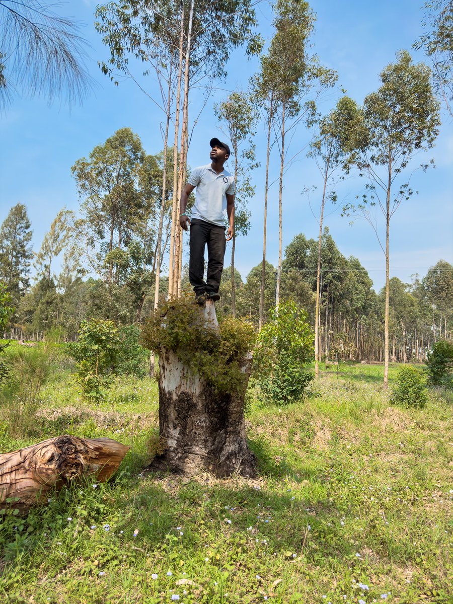 GooutDiscover's tweet photo. Reconnectez-vous avec la nature et vous-même avec Go Fit ! 🍃🏃🏽‍♂️

Rejoignez-nous pour un mode de vie plus sain : respirez l’air frais, bougez et trouvez du soutien ensemble.

“Sortez et découvrez en vous mettant en forme.”

📞 Contactez-nous : +243 993 321 787
#Goma #RDC #Congo https://t.co/LAKko1ALhX