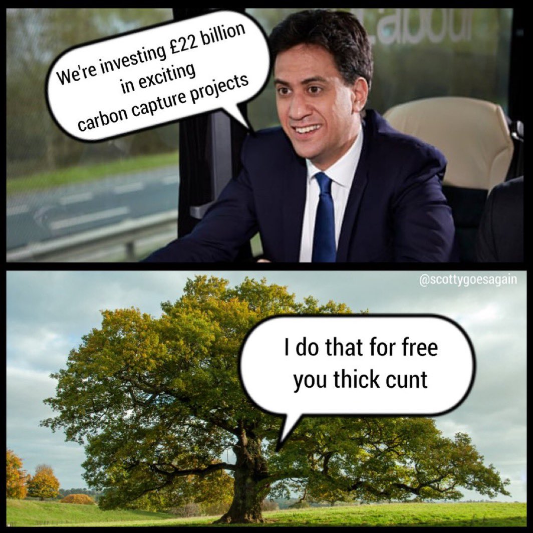 <a href="/Keir_Starmer/">Keir Starmer</a> Or trees?