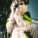 Photo by Codec @Animalz @NFC (@FuzzyCodec)