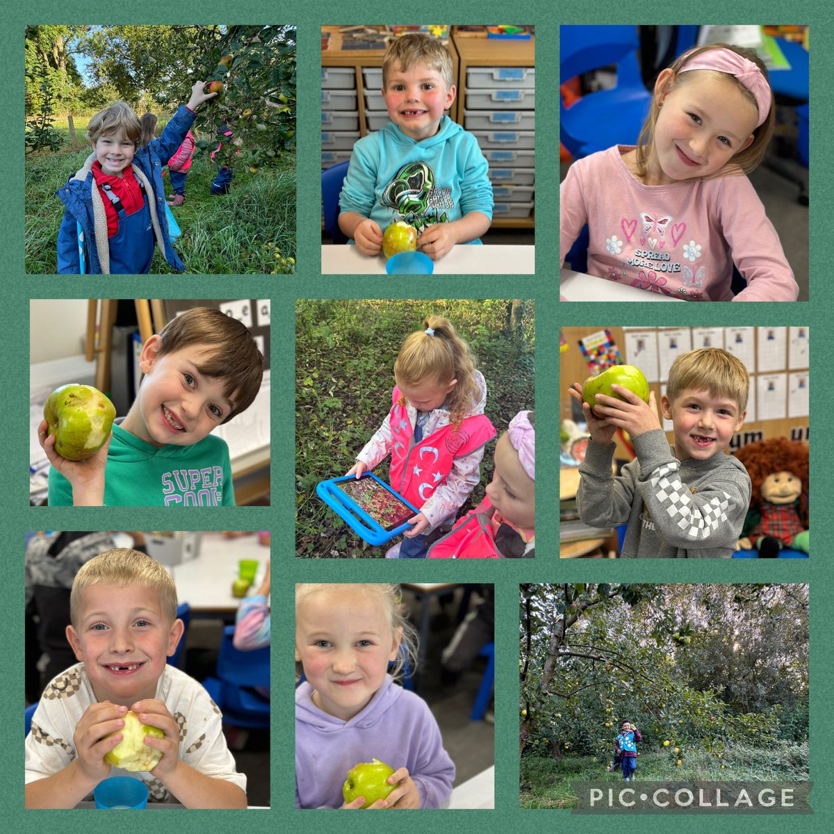 rhosstreet's tweet photo. This week, the wonderful Blwyddyn 2 children discussed and searched for signs of autumn at the Living Classroom. They used iPads to record these signs, and finished up picking their own snack from the orchard. 🍂 🍏 🌳 🍎 🍂 #RSSol #RSSsci #RSScfw #RSSdcf https://t.co/drUNo4ANDz